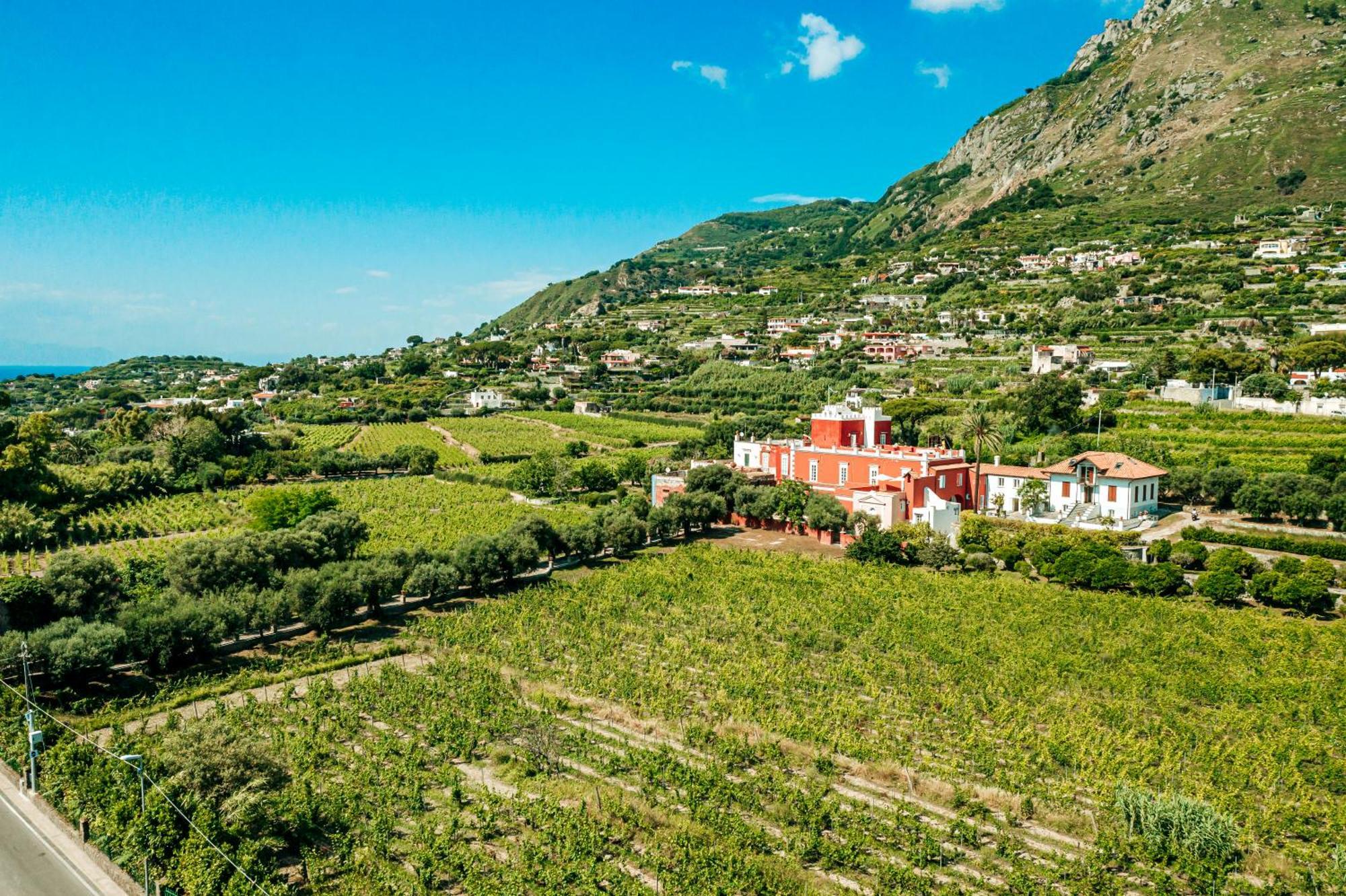 Tenuta Calitto Wine Resort E Spa Isquia Exterior foto