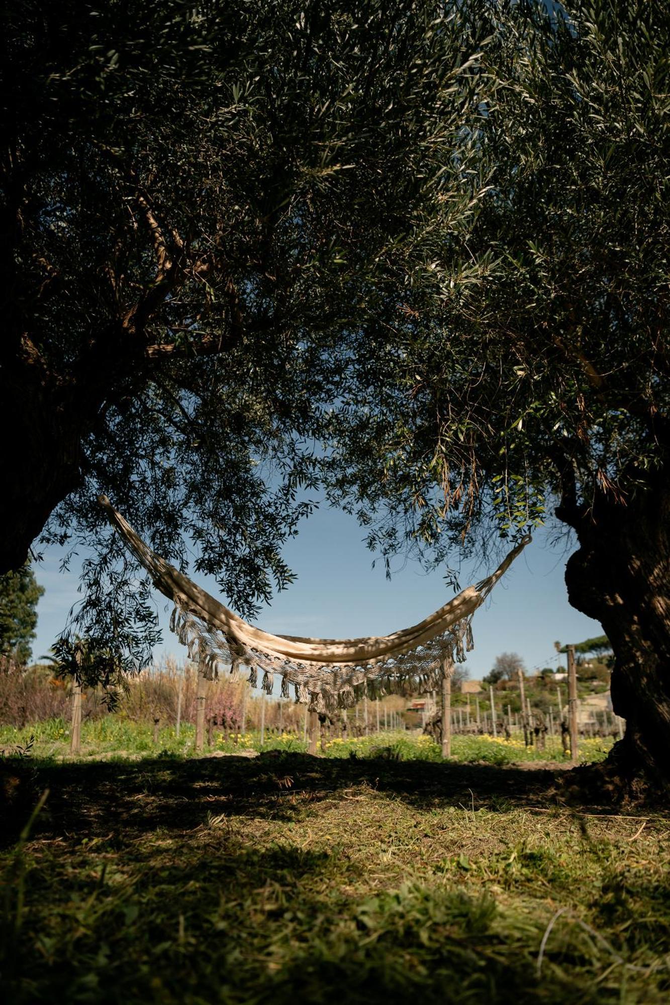 Tenuta Calitto Wine Resort E Spa Isquia Exterior foto